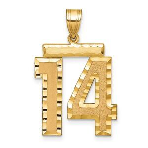 14k Yellow Gold, Varsity Collection, Large D/C Pendant Number 14